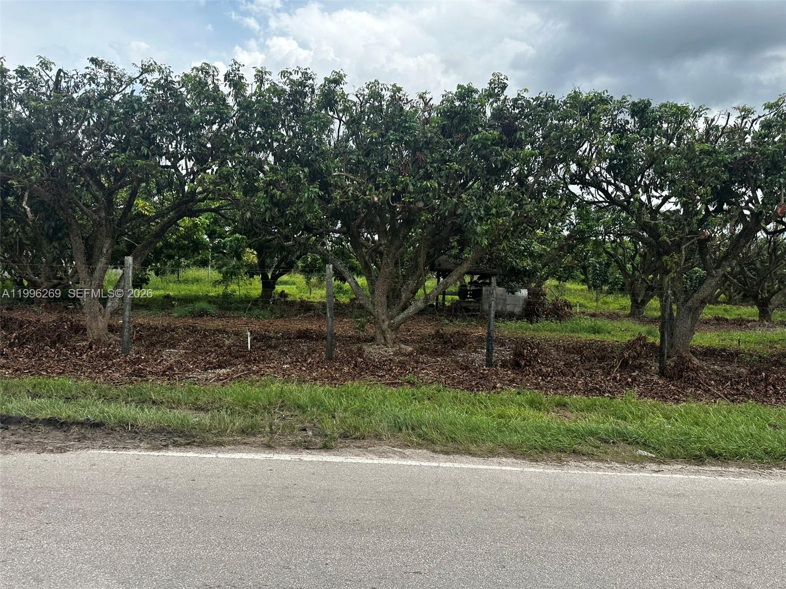 HOMESTEAD, FL — photo 2 of 18