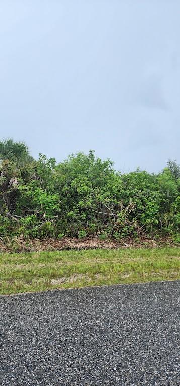 A view of a vacant, overgrown lot with dense vegetation bordering a paved road — 8175 CLYDE CIRCLE, PORT CHARLOTTE, FL