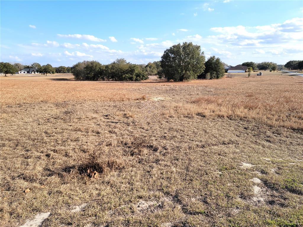 A wide, grassy, undeveloped lot features scattered trees under a blue sky with clouds — Lot #6 EAGLE RUN, GROVELAND, FL