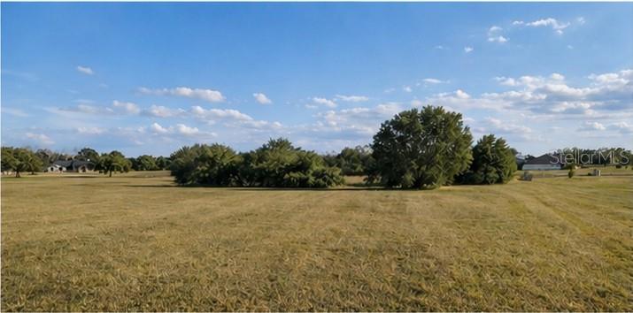 A wide, grassy, undeveloped lot features scattered trees under a blue sky with clouds — Lot #6 EAGLE RUN, GROVELAND, FL