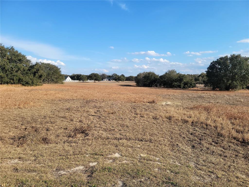 A wide, dry, grassy field is surrounded by trees under a clear blue sky — Lot #6 EAGLE RUN, GROVELAND, FL