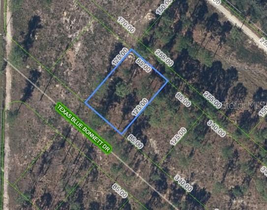 6139 TEXAS BLUE BONNETT DRIVE