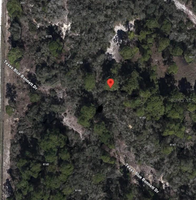 This is an aerial map view of a wooded residential lot with a red location pin — 6139 TEXAS BLUE BONNETT DRIVE, SEBRING, FL