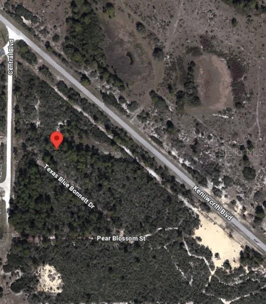 This is an aerial map view showing a wooded lot near several intersecting streets — 6139 TEXAS BLUE BONNETT DRIVE, SEBRING, FL