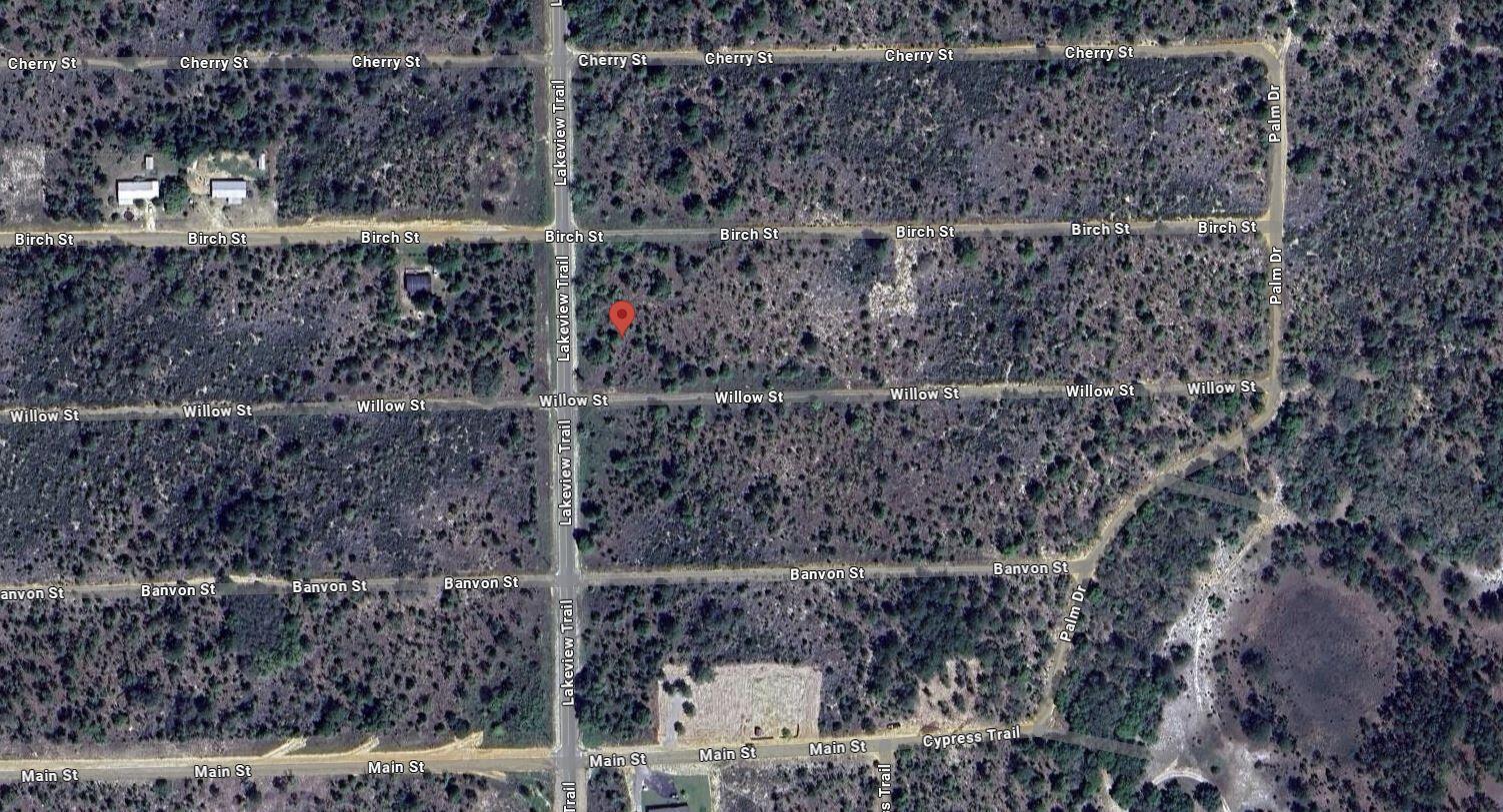 This is a satellite map view of a vacant, wooded residential lot with street labels — 1504 Lakeview Trail, FL 32148, FL