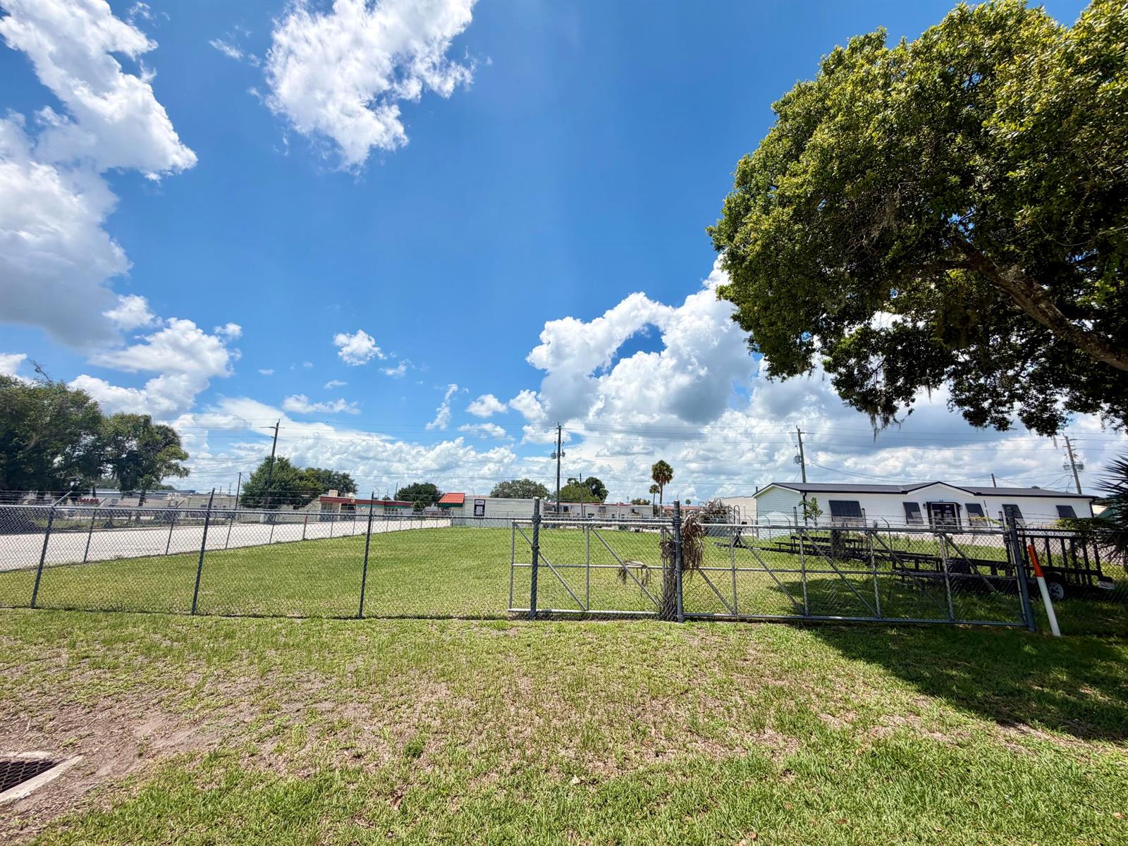 A fenced grassy lot sits under a blue sky with a large tree nearby — 203 SW 3rd Avenue, Okeechobee FL 34974, OKEECHOBEE, FL