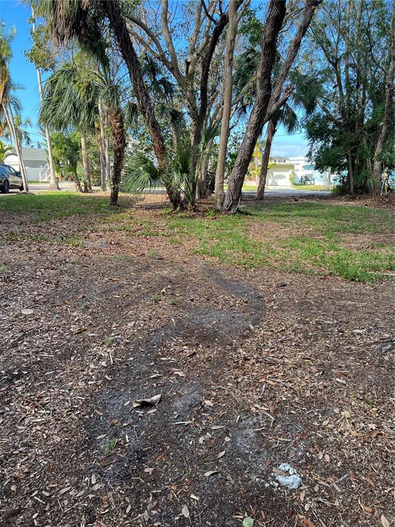 A grassy, wooded lot with scattered leaves and palm trees under a clear blue sky — 418 12TH AVENUE, INDIAN ROCKS BEACH, FL