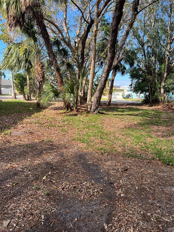 A view of a grassy, partially shaded lot with several palm and deciduous trees — 418 12TH AVENUE, INDIAN ROCKS BEACH, FL