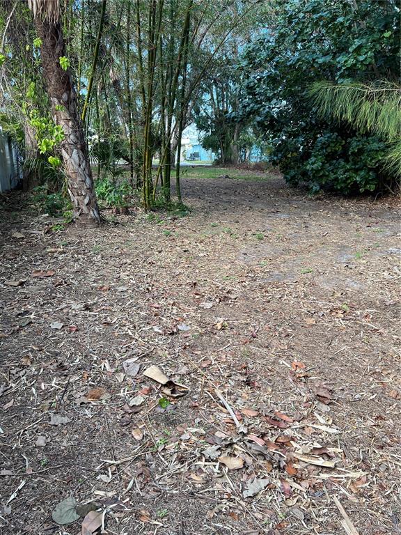 A wooded, leaf-covered lot features a large tree on the left and dense foliage — 418 12TH AVENUE, INDIAN ROCKS BEACH, FL