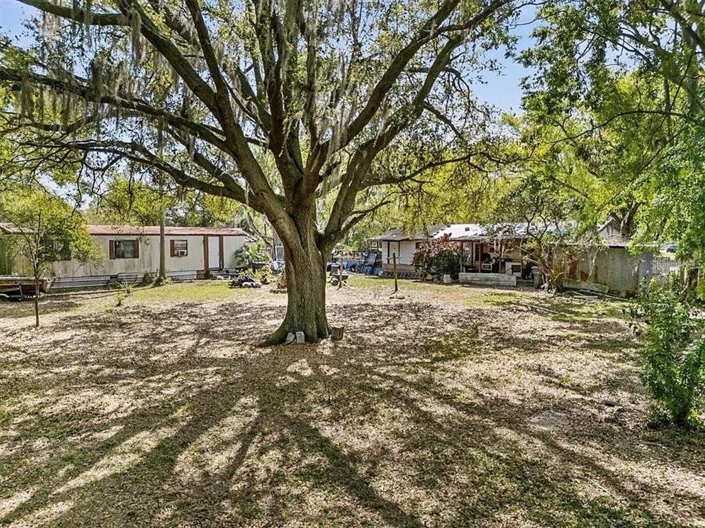 A large oak tree stands in a yard between two mobile homes under a blue sky — 213 10TH WAHNETA STREET W, WINTER HAVEN, FL