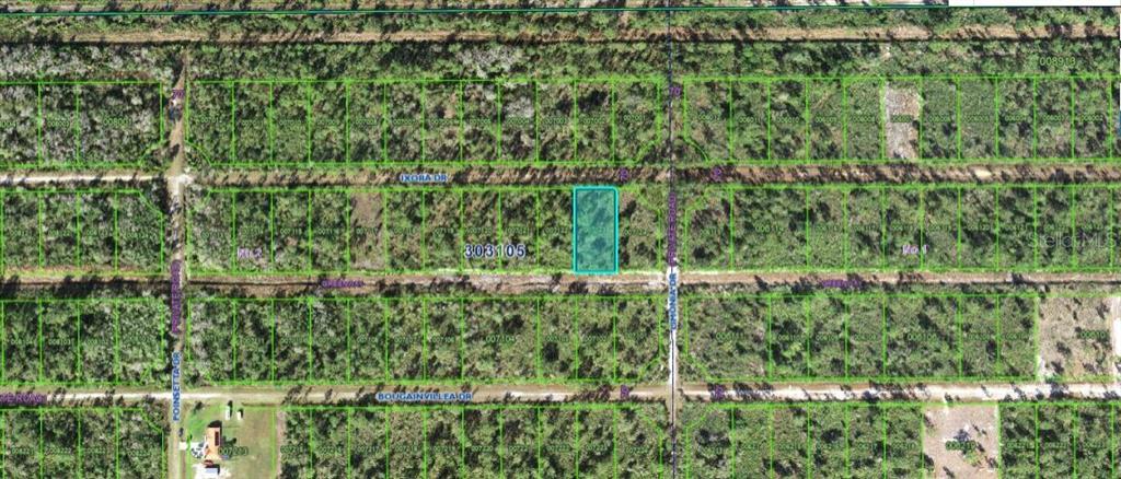 This is an aerial map showing a highlighted vacant lot within a grid of undeveloped land — 203 IXORA DRIVE, INDIAN LAKE ESTATES, FL