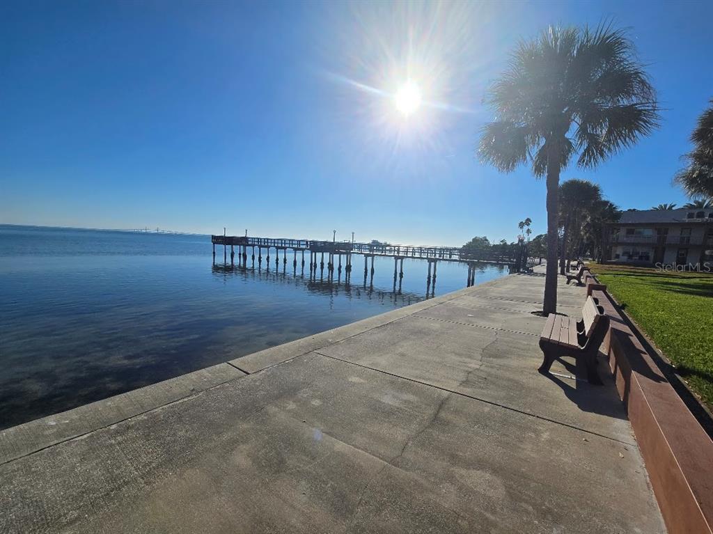 A concrete walkway runs along a waterfront with a wooden pier and palm trees — 650 PINELLAS POINT DRIVE S UNIT 204, ST PETERSBURG, FL