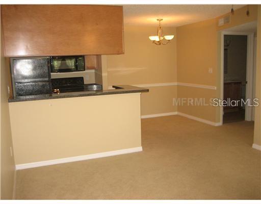 215 LAKE BROOK CIRCLE UNIT 204, BRANDON, FL — photo 3 of 12