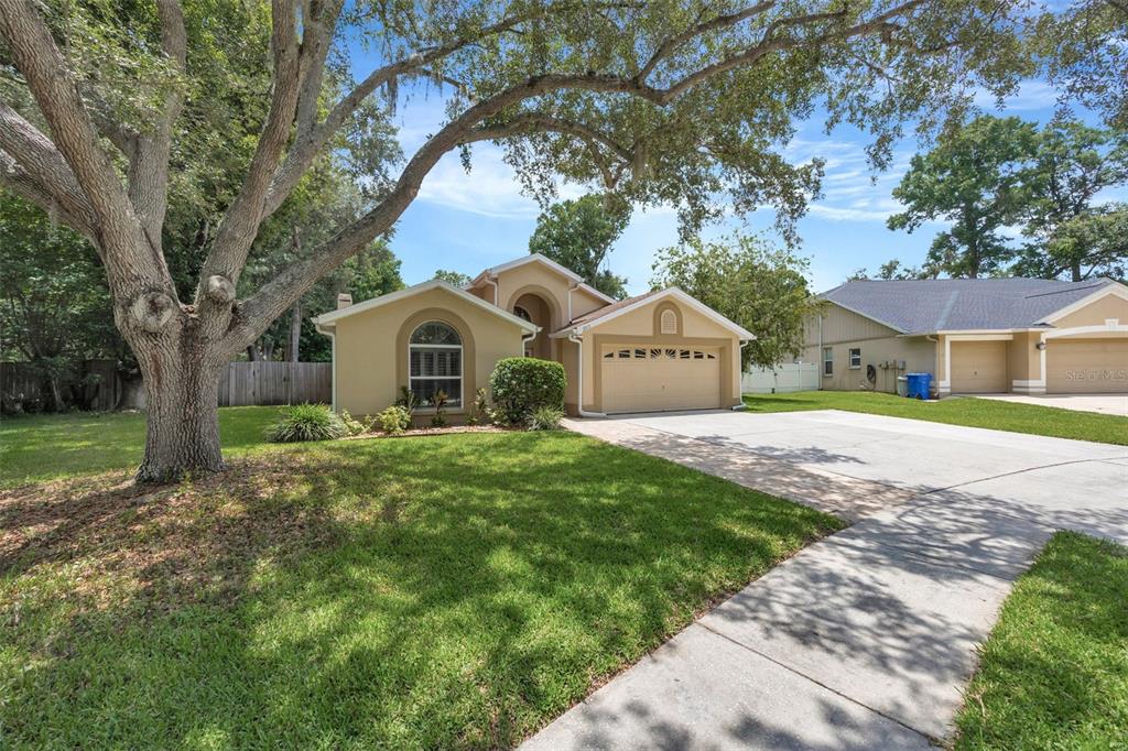 A single-story house with a tan exterior, a two-car garage, and a large front tree — 3015 FOLKLORE DRIVE, VALRICO, FL