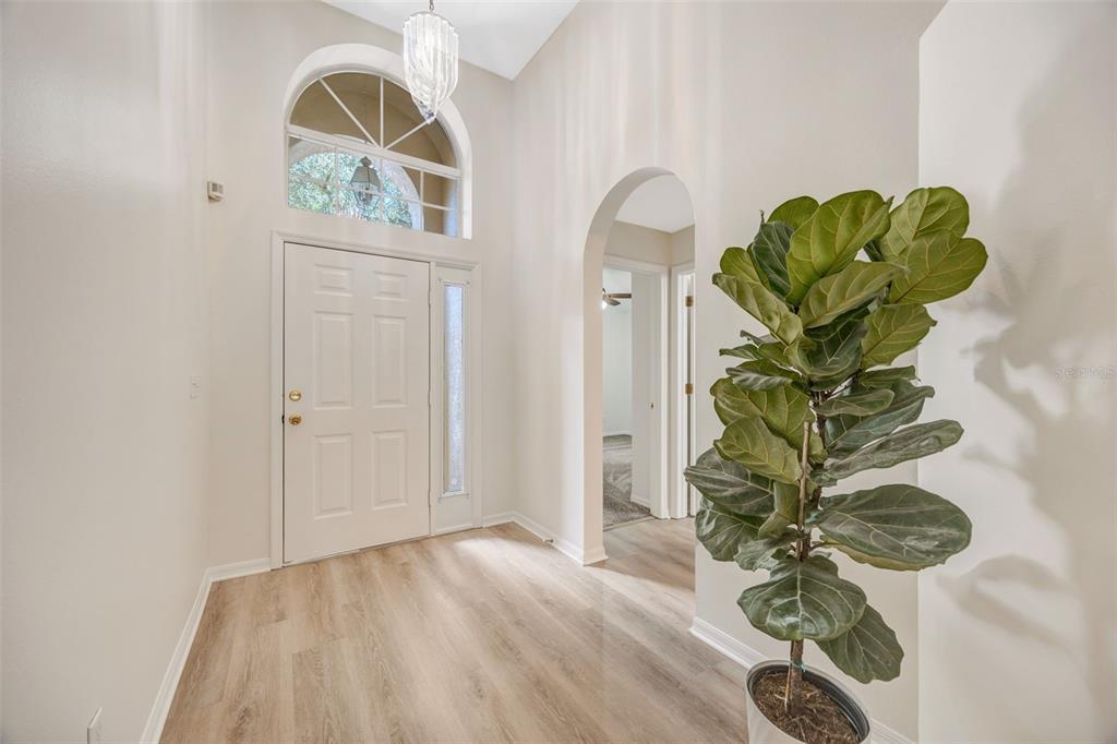A bright entryway features light wood-look flooring, a tall arched window, and a potted plant — 3015 FOLKLORE DRIVE, VALRICO, FL
