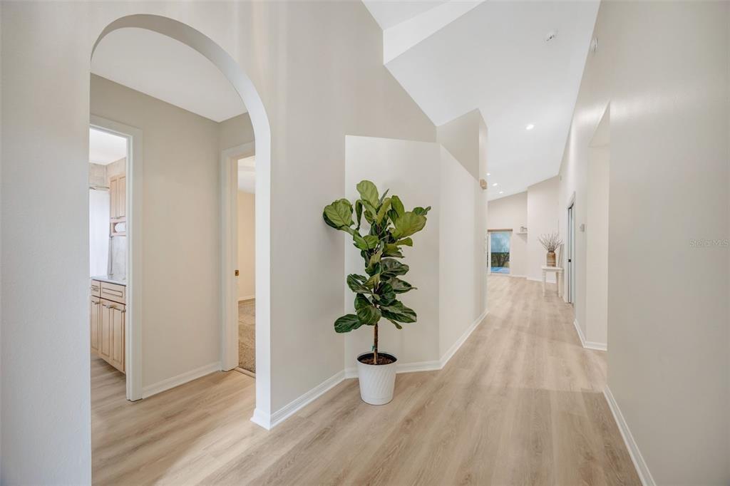 A bright hallway features light wood-look flooring, an arched entryway, and a potted fiddle-leaf fig — 3015 FOLKLORE DRIVE, VALRICO, FL