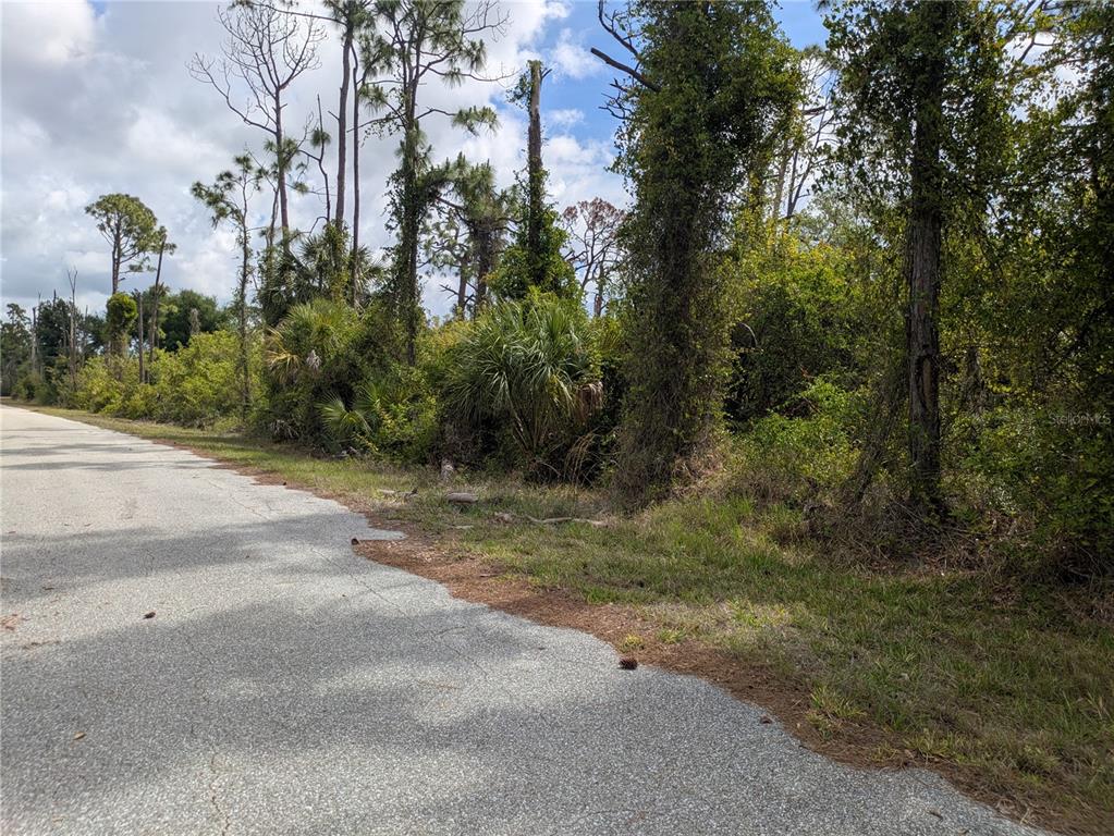 A paved road runs alongside a dense, wooded lot with various trees and shrubs — 7396 WIDMER STREET, PORT CHARLOTTE, FL