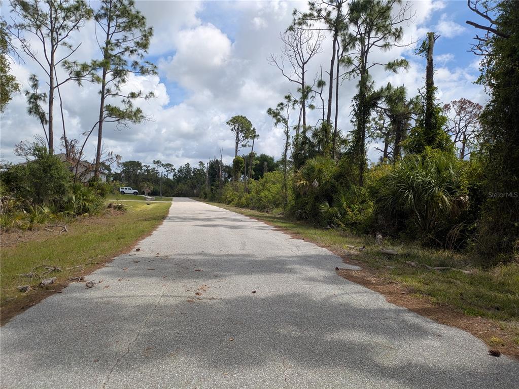 A paved road stretches through a wooded area with scattered trees and dense vegetation — 7396 WIDMER STREET, PORT CHARLOTTE, FL