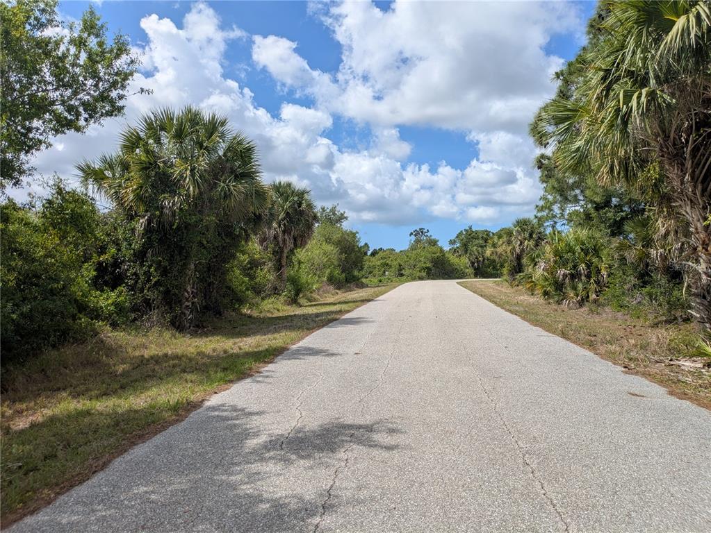 A paved road winds through a rural landscape with palm trees and dense green vegetation — 7396 WIDMER STREET, PORT CHARLOTTE, FL