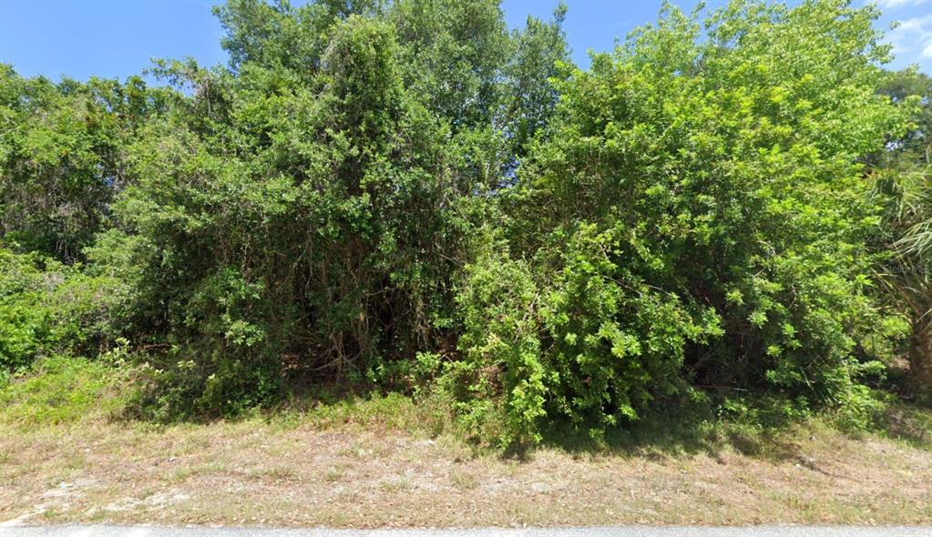 A dense, overgrown wooded lot viewed from the edge of a paved road — 1272 EDEN AVENUE, PORT CHARLOTTE, FL