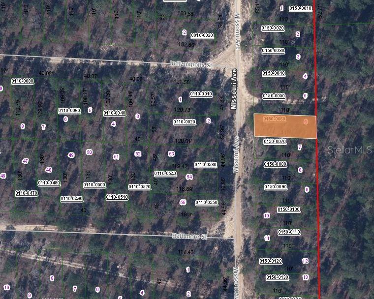 This is a land parcel map showing property boundaries and lot numbers in a wooded area — 156 MISSOURI AVENUE, HAWTHORNE, FL