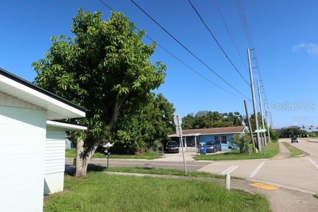 A view of a residential street with a large tree, a house, and power lines — 559 NASTURTIUM AVENUE, SEBRING, FL