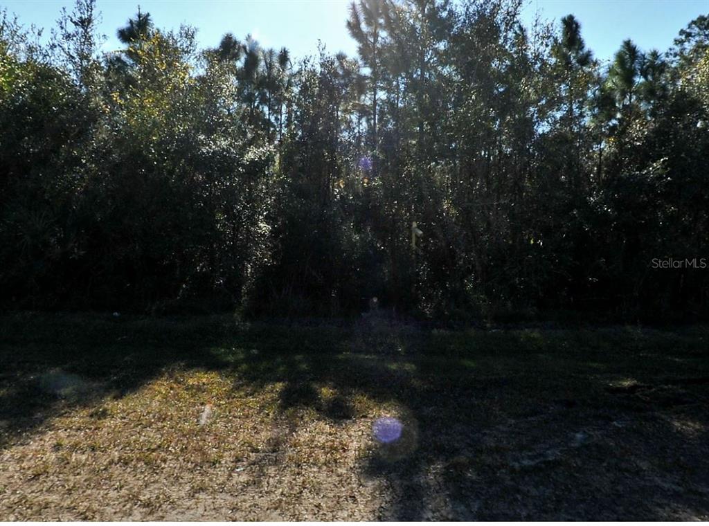 A view of a grassy lot bordered by a dense line of trees — N CRANBERRY BOULEVARD, NORTH PORT, FL