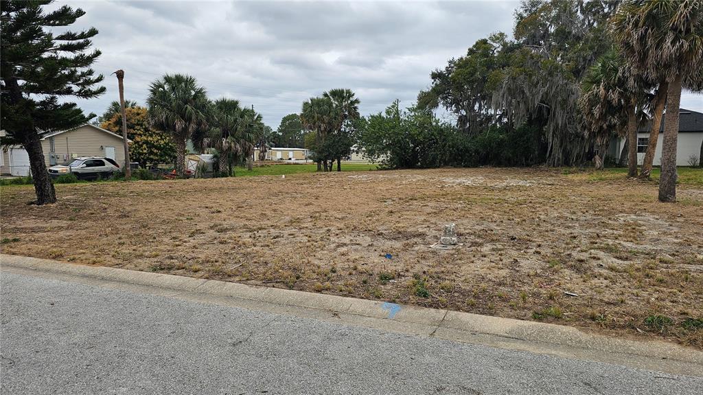 A vacant, grassy residential lot sits along a paved street with surrounding trees and houses — 209 W BADGER AVENUE, EUSTIS, FL