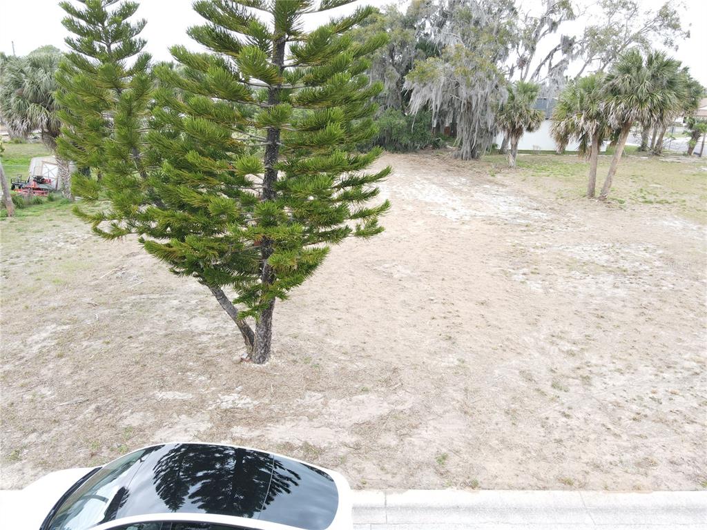 An elevated view of a vacant, sandy residential lot featuring several trees and palm trees — 209 W BADGER AVENUE, EUSTIS, FL