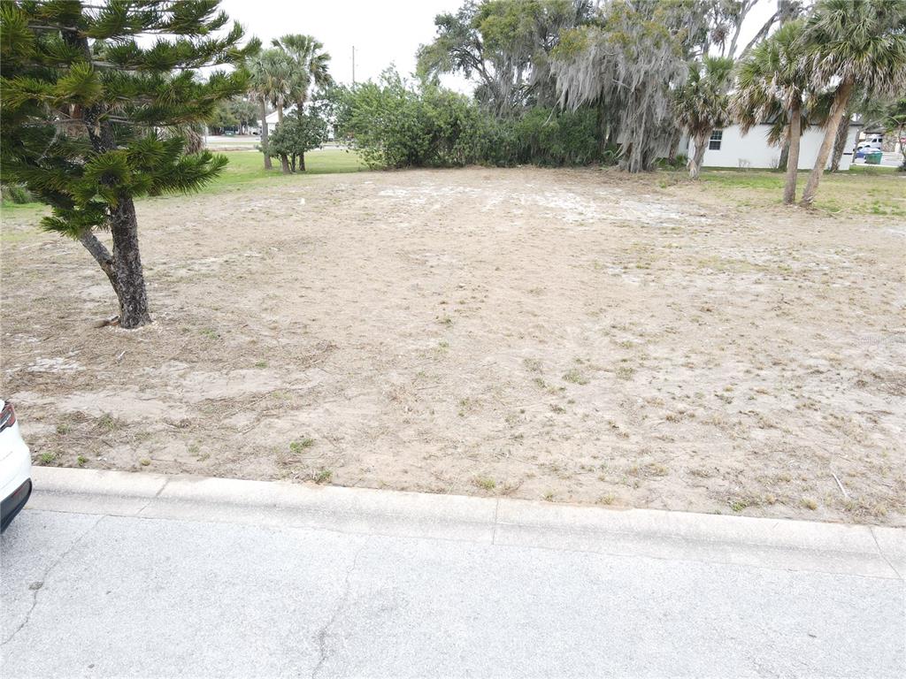 A vacant, sandy residential lot is bordered by a paved street and several trees — 209 W BADGER AVENUE, EUSTIS, FL
