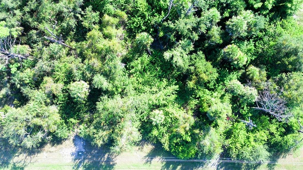 An aerial view shows a dense, wooded lot bordering a grassy area with utility lines — 199 COUGAR WAY, ROTONDA WEST, FL