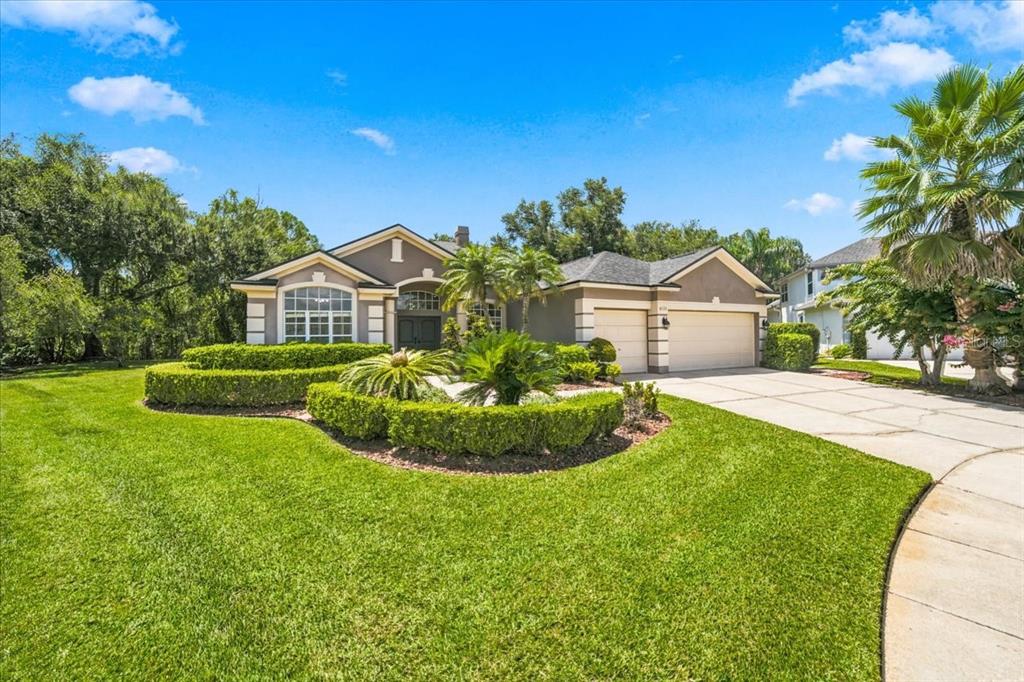 An aerial view shows three suburban houses with driveways situated along a curved residential street — 6121 CHENE COURT, LUTZ, FL