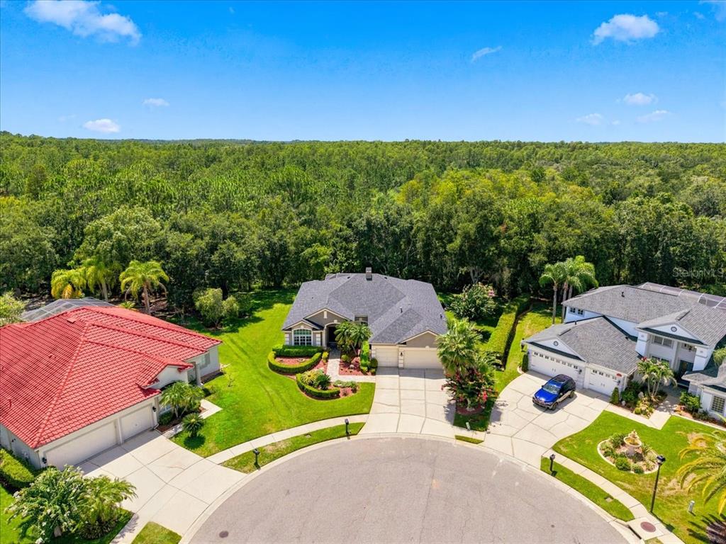 The exterior of a single-story house features a stone walkway, double doors, and palm trees — 6121 CHENE COURT, LUTZ, FL