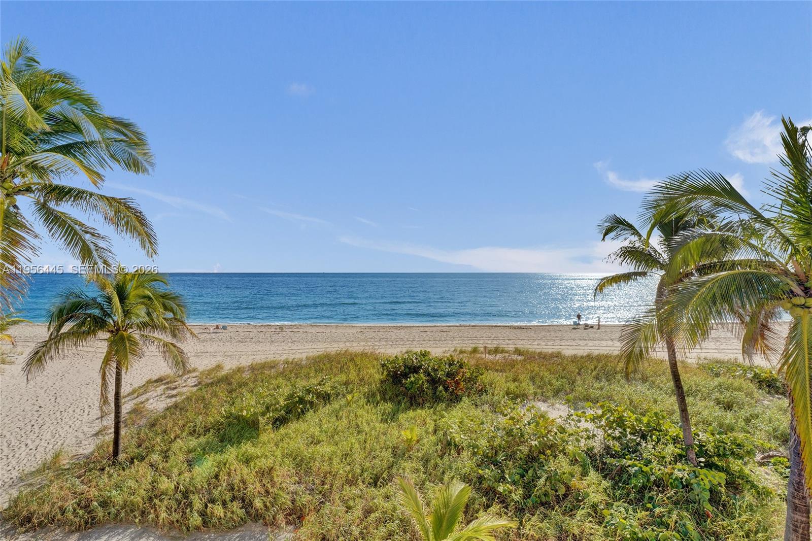 A view of a sandy beach and ocean framed by two palm trees — 1370 S Ocean Blvd # 407, Pompano Beach FL 33062, POMPANO BEACH, FL