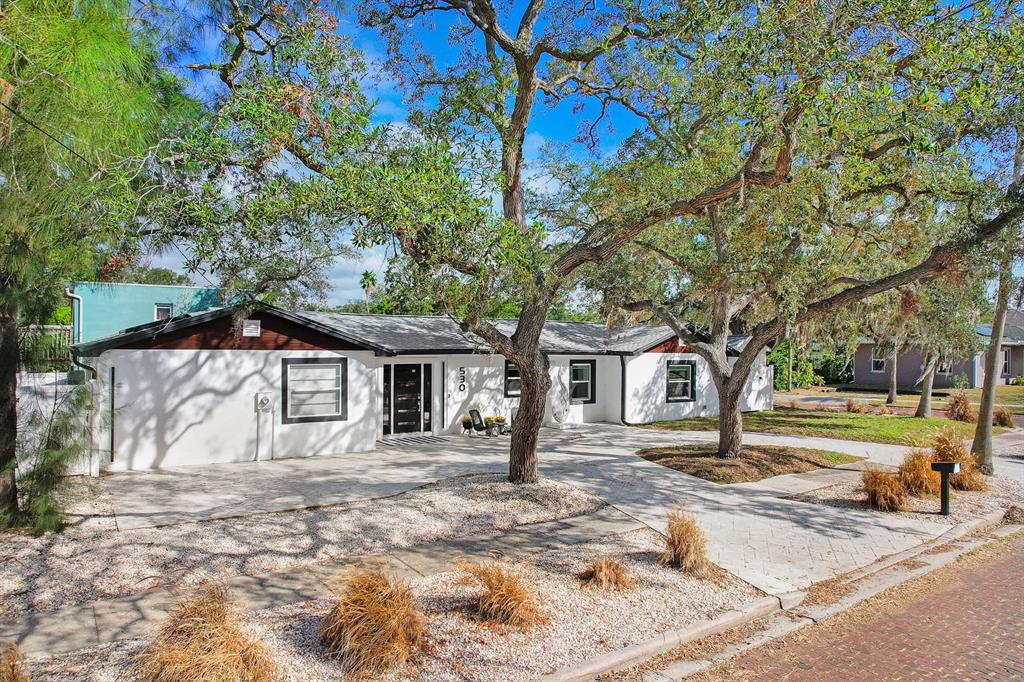 A single-story white house with a paved driveway and large trees in the front yard — 530 LOCKLIE STREET, DUNEDIN, FL