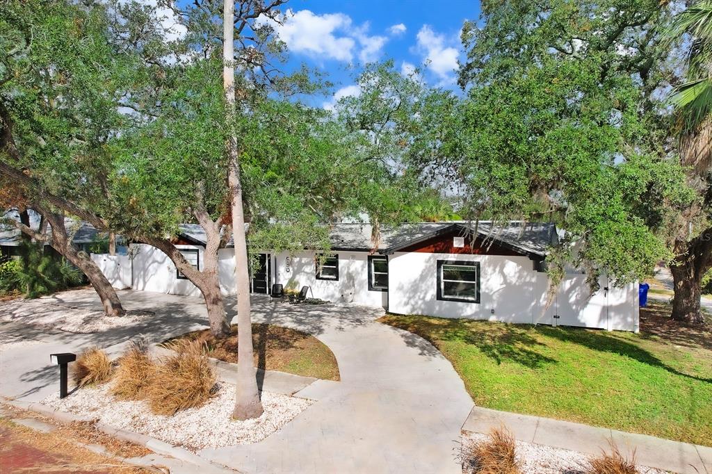 A white single-story house with a concrete driveway and large trees in the front yard — 530 LOCKLIE STREET, DUNEDIN, FL