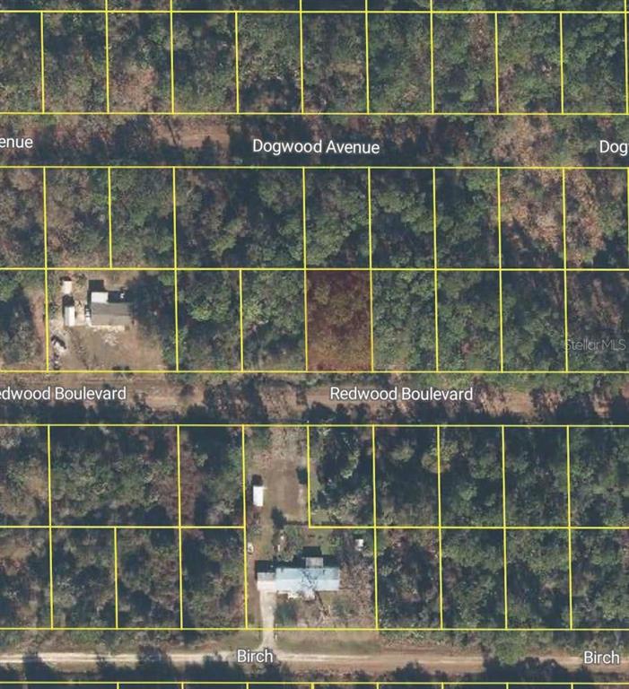 This aerial map shows residential lots outlined in yellow between Dogwood Avenue and Birch Street — 318 REDWOOD BOULEVARD, GEORGETOWN, FL
