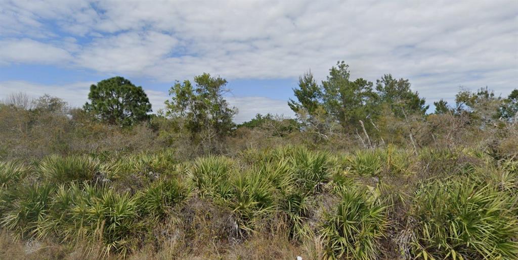 A view of a vacant, undeveloped lot covered in saw palmettos and scattered pine trees — 1643 & 1651 TILLY STREET SE, PALM BAY, FL