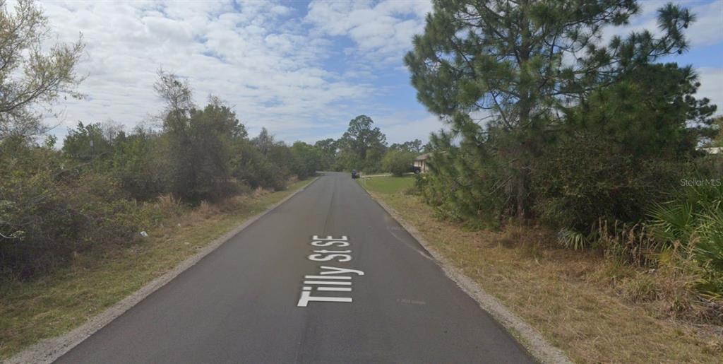 A paved road stretches through a wooded area with dense vegetation on both sides — 1643 & 1651 TILLY STREET SE, PALM BAY, FL