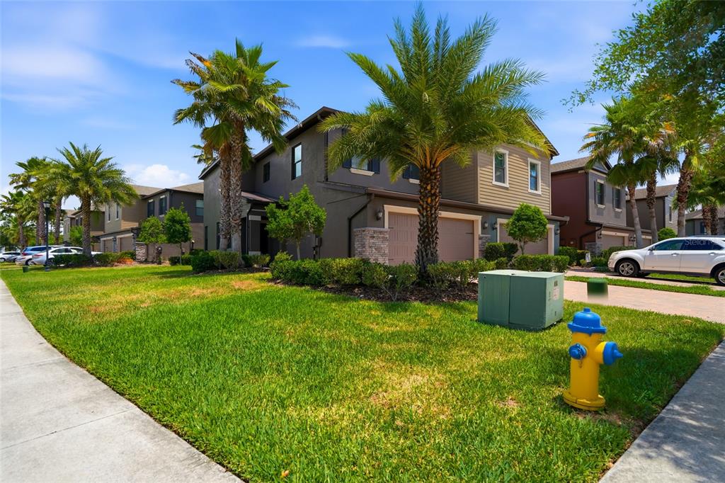 A two-story townhouse with a green lawn, palm trees, and a yellow fire hydrant outside — 28580 TRANQUIL LAKE CIRCLE, WESLEY CHAPEL, FL
