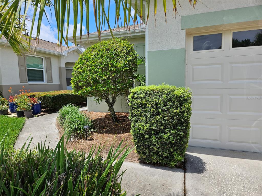 A view of a house exterior featuring a garage, a manicured hedge, and landscaping — 739 TREMONT GREENS LANE, SUN CITY CENTER, FL