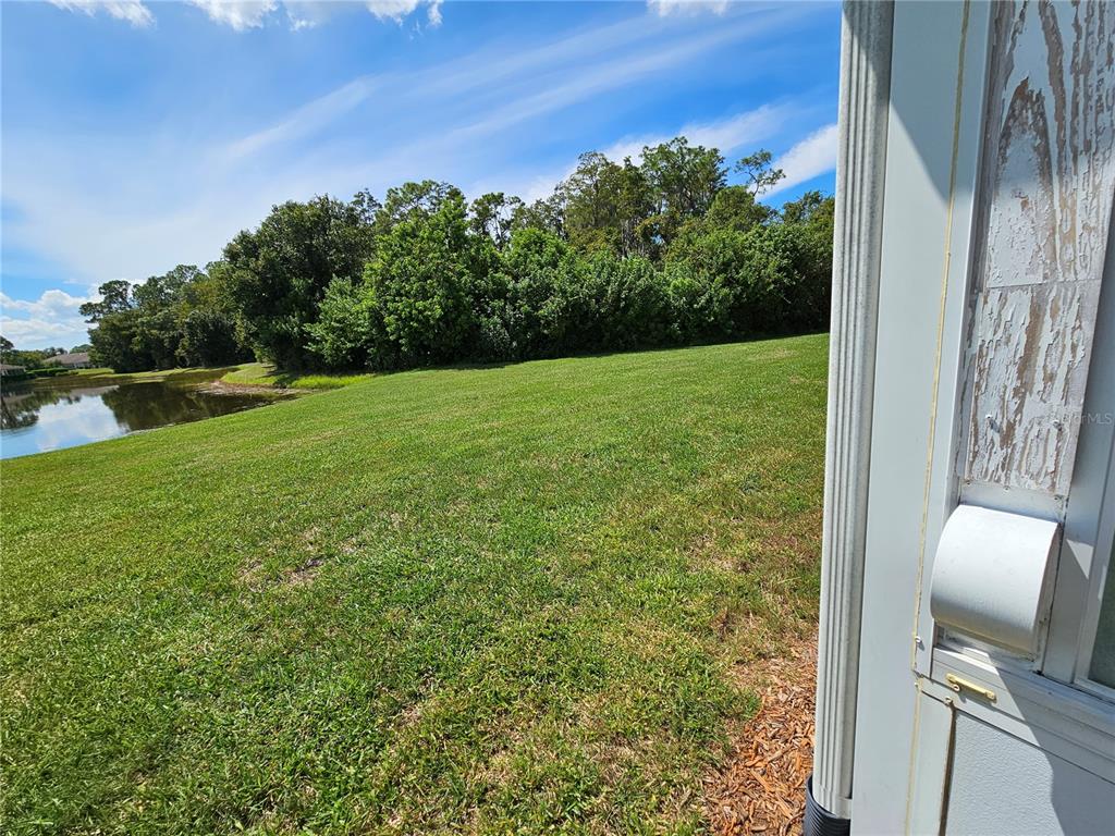 A grassy backyard overlooks a small pond bordered by a line of trees — 739 TREMONT GREENS LANE, SUN CITY CENTER, FL