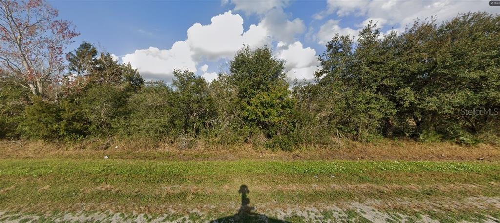 A view of a densely wooded, undeveloped plot of land with a grassy foreground — 1025 DILL ROAD, ORLANDO, FL