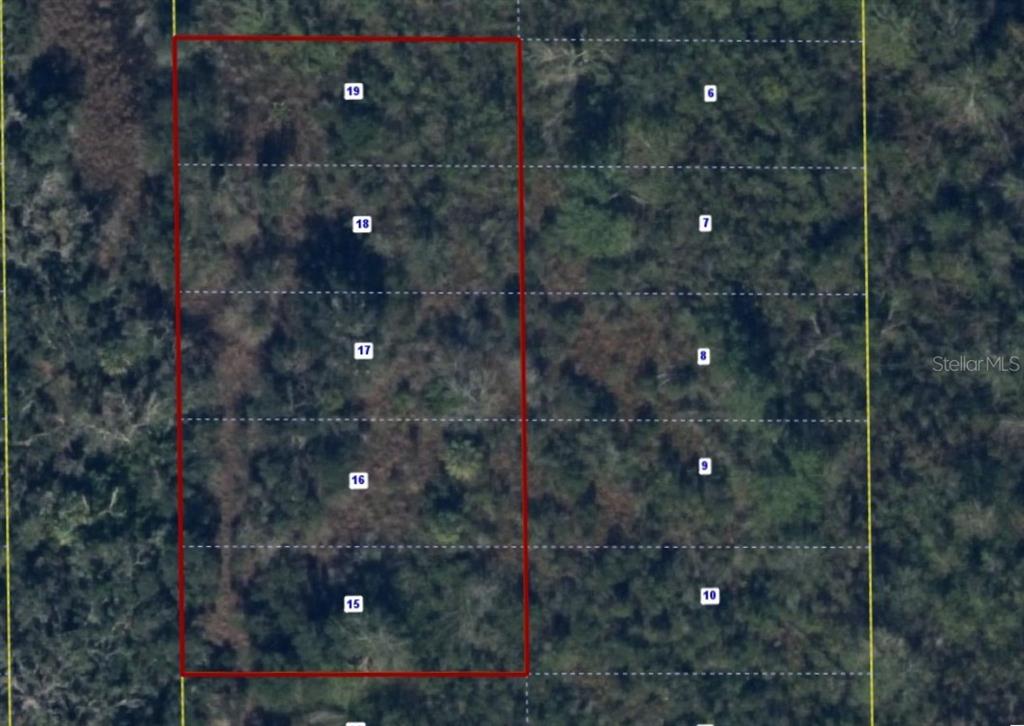 This aerial map shows a rectangular plot of land divided into five numbered lots — SW PABLO AVENUE, ARCADIA, FL