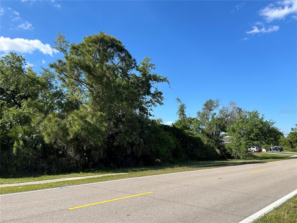 A paved road runs alongside a wooded lot with dense trees and vegetation — JAYLENE ROAD, NORTH PORT, FL