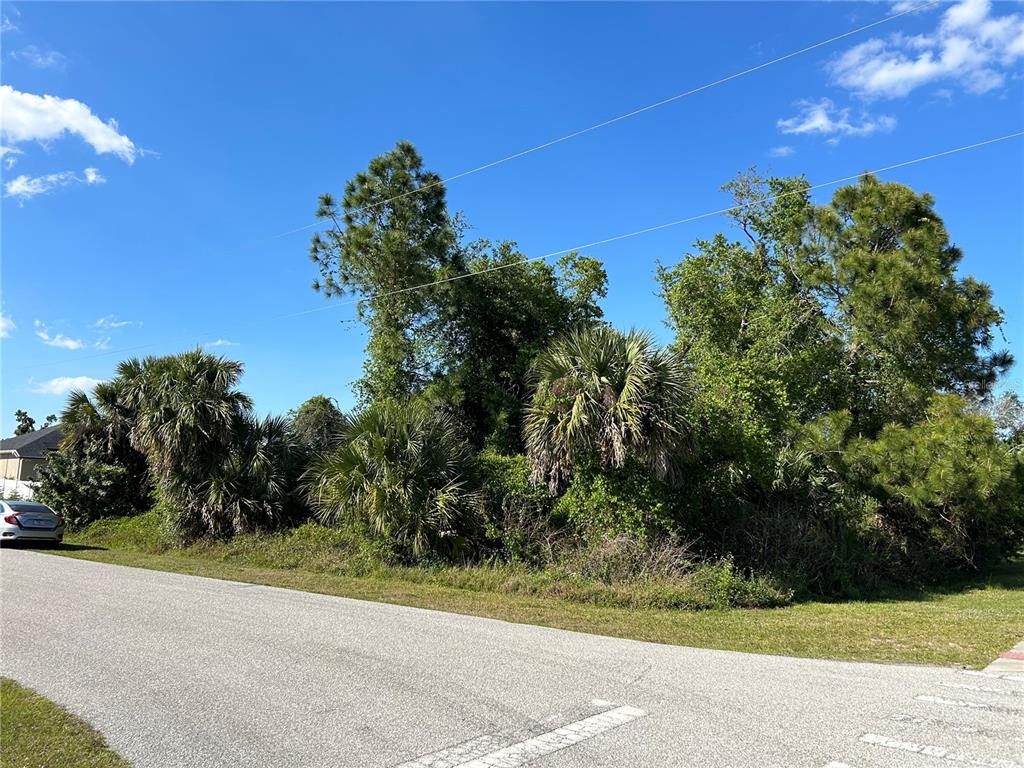A paved road runs in front of a dense, wooded lot with palm trees — JAYLENE ROAD, NORTH PORT, FL