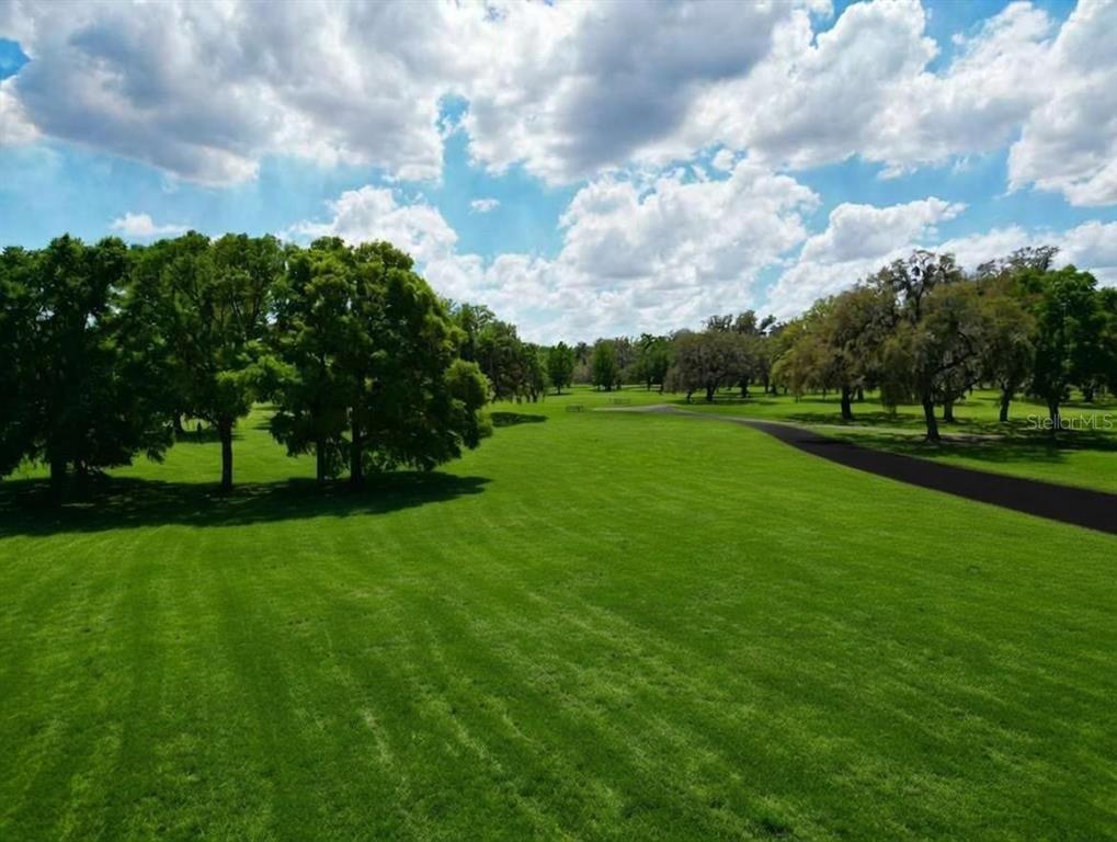 A wide, grassy lawn features scattered mature trees and a paved path under a cloudy sky — TBD SE 115TH ST, BELLEVIEW, FL