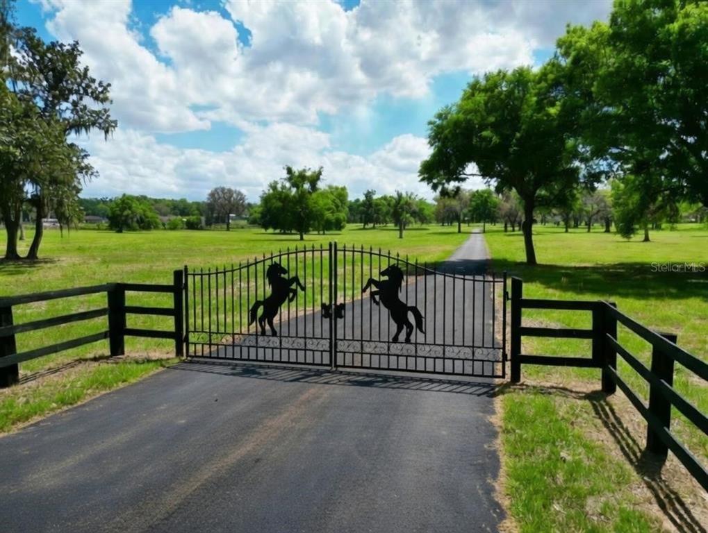 A black metal gate with horse silhouettes stands at the entrance of a paved driveway — TBD SE 115TH ST, BELLEVIEW, FL