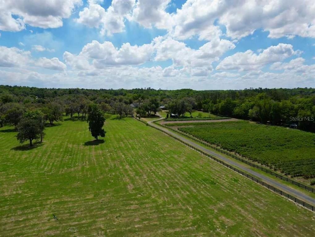 An aerial view shows a large green pasture, a long driveway, and dense surrounding trees — TBD SE 115TH ST, BELLEVIEW, FL
