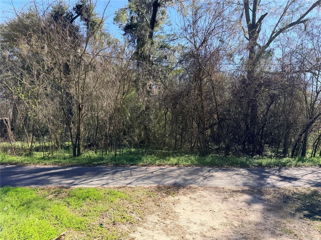 A paved road runs in front of a densely wooded lot with many bare trees — TBD NW 151ST AVENUE, ALACHUA, FL